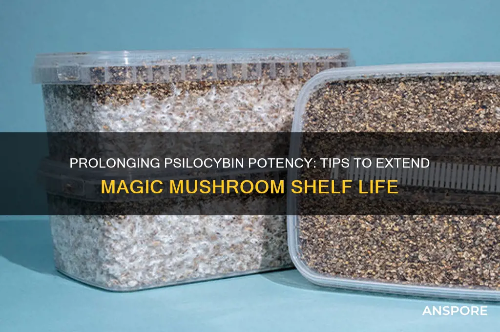 how to make magic mushrooms last longer