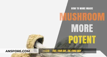 Enhance Your Psychedelic Experience: Maximizing Magic Mushroom Potency Safely