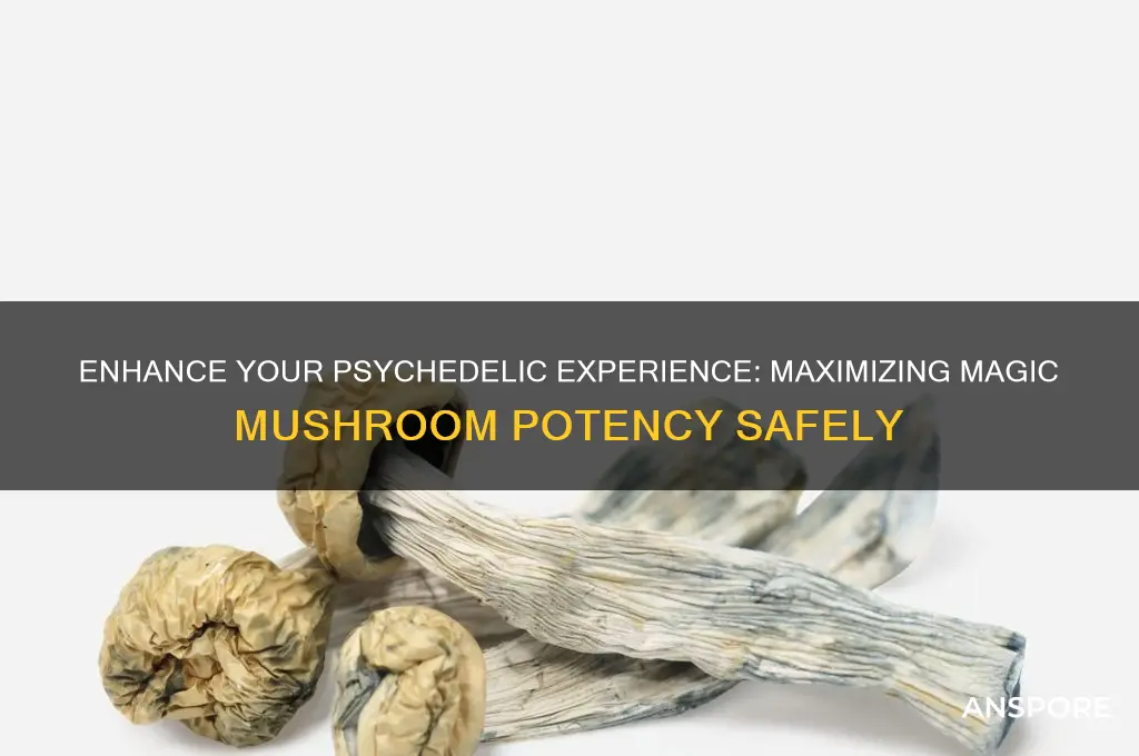 how to make magic mushrooms more potent