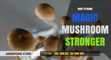 Enhance Your Psychedelic Experience: Tips to Potentize Magic Mushrooms