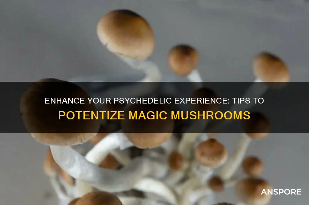 how to make magic mushrooms stronger