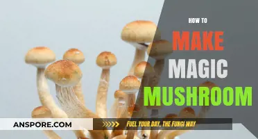 Crafting Psychedelic Experiences: A Guide to Growing Magic Mushrooms