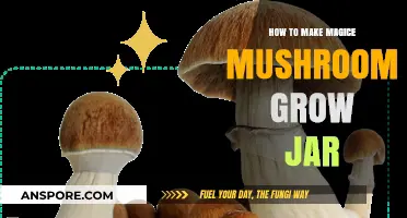 Mastering Mushroom Cultivation: Crafting a Perfect Magic Mushroom Grow Jar