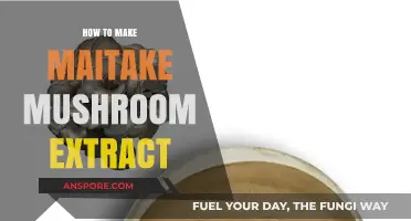Crafting Maitake Mushroom Extract: A Simple DIY Guide for Wellness