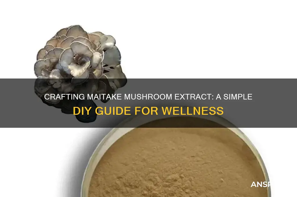 how to make maitake mushroom extract
