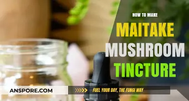 Crafting Maitake Mushroom Tincture: A Simple DIY Wellness Guide
