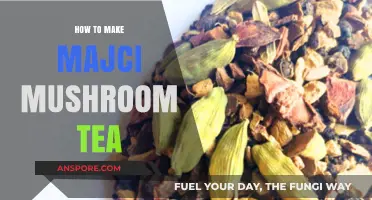 Brewing Magic: A Simple Guide to Making Majci Mushroom Tea