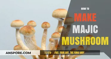 Crafting Magic Mushrooms: A Step-by-Step Guide to Growing Psilocybin Fungi