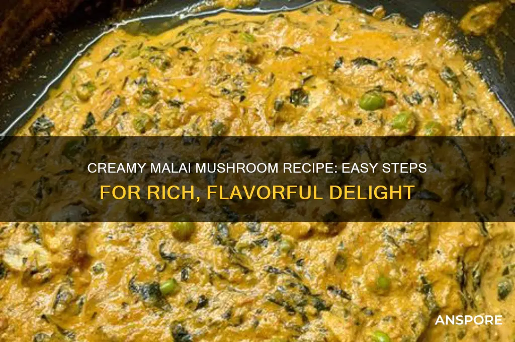 how to make malai mushroom