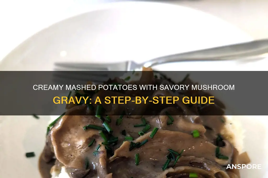 how to make mashed potatoes with mushroom gravy