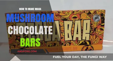 Crafting Psychedelic Delights: A Guide to Making Mushroom Chocolate Bars