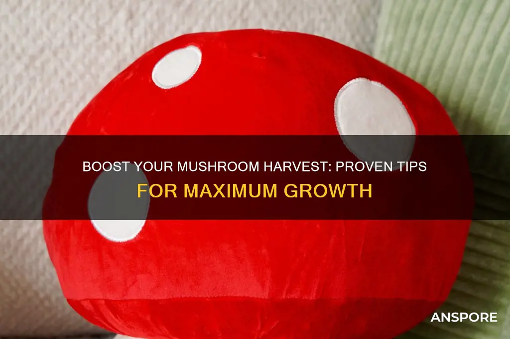 how to make max mushrooms appear