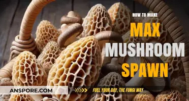 Maximize Mushroom Growth: Proven Techniques for Abundant Spawning Success