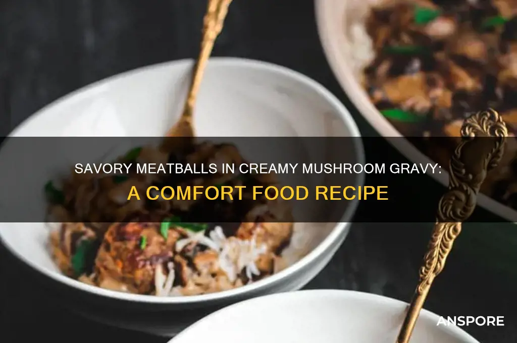 how to make meatballs with mushroom gravy