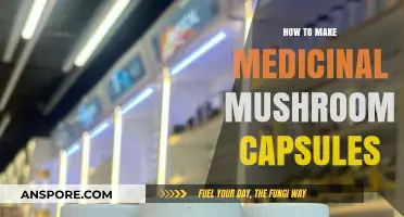 Crafting Medicinal Mushroom Capsules: A Step-by-Step DIY Guide