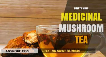 Brewing Wellness: A Guide to Making Medicinal Mushroom Tea