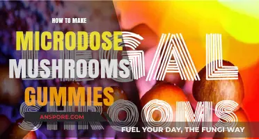Crafting Microdose Mushroom Gummies: A Simple DIY Guide