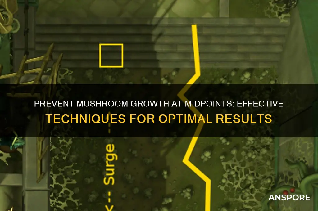 how to make midpoints not give mushroom