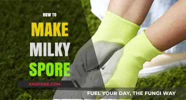 Effective Milky Spore Preparation: A Step-by-Step Guide for Gardeners