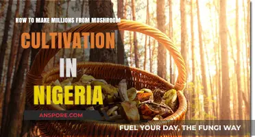 Unlock Wealth: Profitable Mushroom Farming Strategies for Nigerian Entrepreneurs