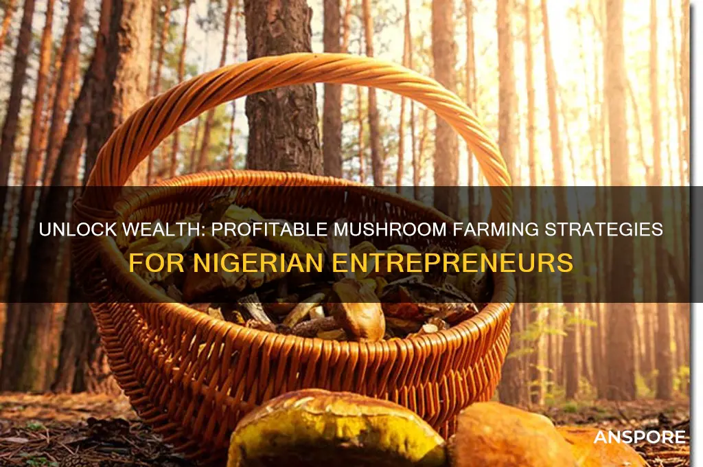 how to make millions from mushroom cultivation in nigeria