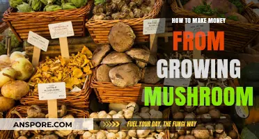 Profitable Mushroom Farming: A Guide to Growing Wealth with Fungi