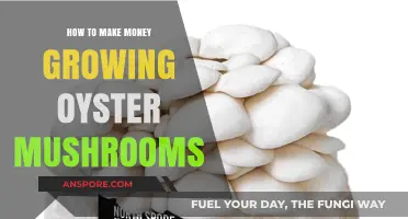 Profitable Oyster Mushroom Farming: A Beginner's Guide to Earning Income