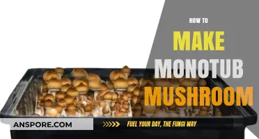Mastering Monotub Mushroom Cultivation: A Step-by-Step Growing Guide