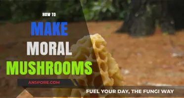 Cultivating Ethical Fungi: A Guide to Growing Moral Mushrooms