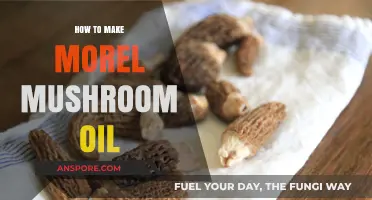 Crafting Morel Mushroom Oil: A Gourmet Guide to Infused Flavors