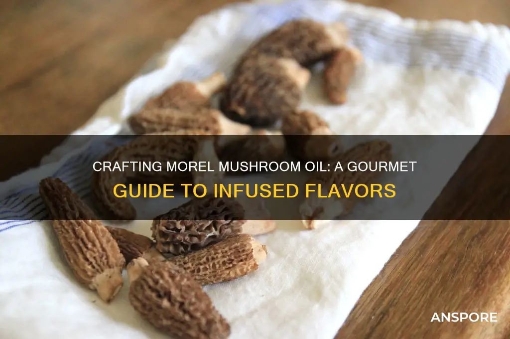 how to make morel mushroom oil