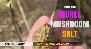 Crafting Morel Mushroom Salt: A Savory, Earthy Seasoning Guide