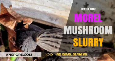 Crafting Morel Mushroom Slurry: A Simple, Flavorful Kitchen Technique
