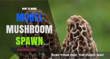 Mastering Morel Mushroom Spawn: A Step-by-Step Cultivation Guide