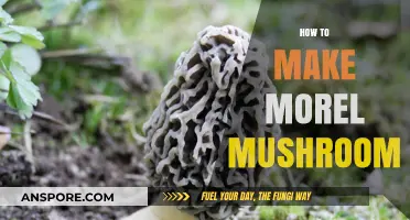Mastering Morel Mushrooms: A Step-by-Step Guide to Growing Your Own