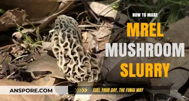 Mastering Morel Mushroom Slurry: A Step-by-Step Guide to Perfection