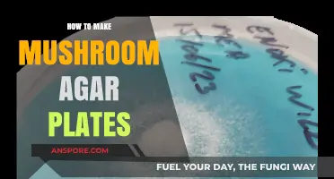 Mastering Mushroom Agar Plates: A Step-by-Step Guide for Beginners