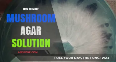 Mastering Mushroom Cultivation: A Step-by-Step Guide to Making Agar Solution