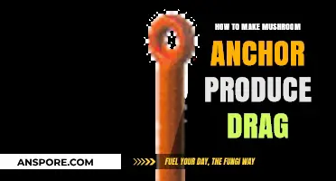 Crafting Mushroom Anchors for Maximum Drag: A Step-by-Step Guide