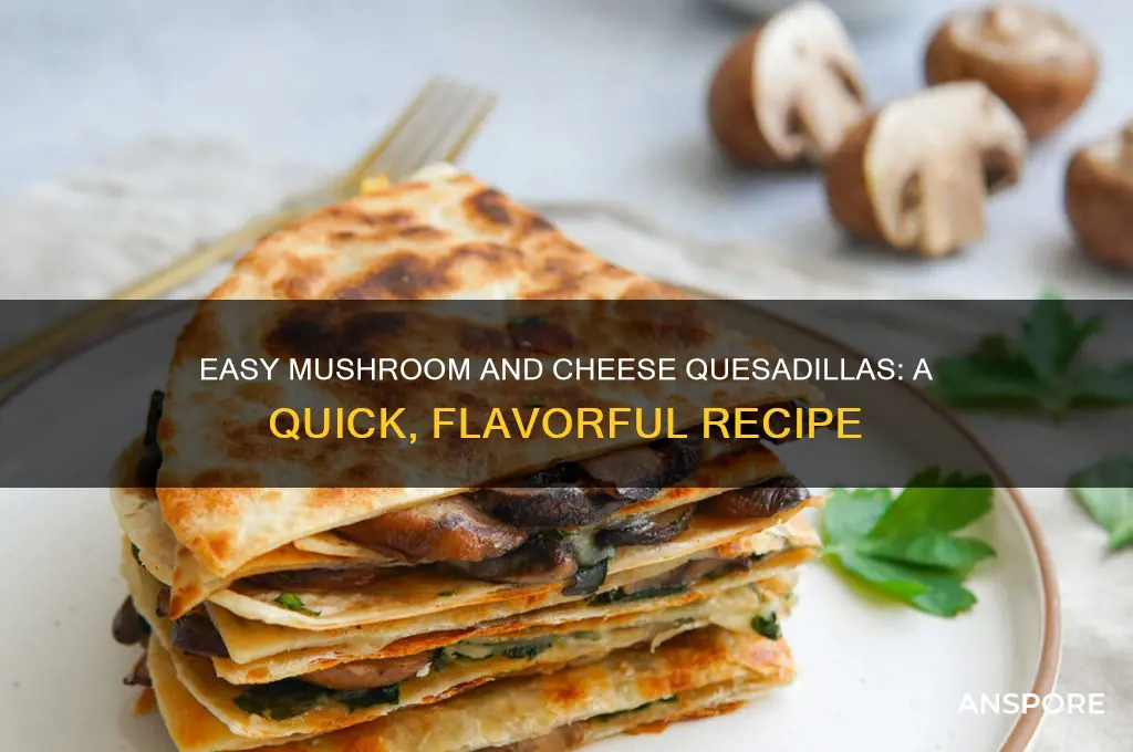 how to make mushroom and cheese quesadillas