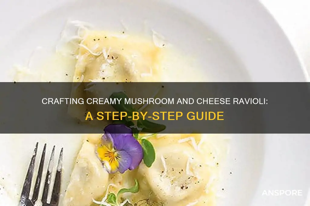 how to make mushroom and cheese ravioli