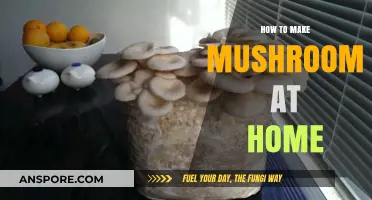Easy Steps to Grow Delicious Mushrooms at Home: A Beginner's Guide
