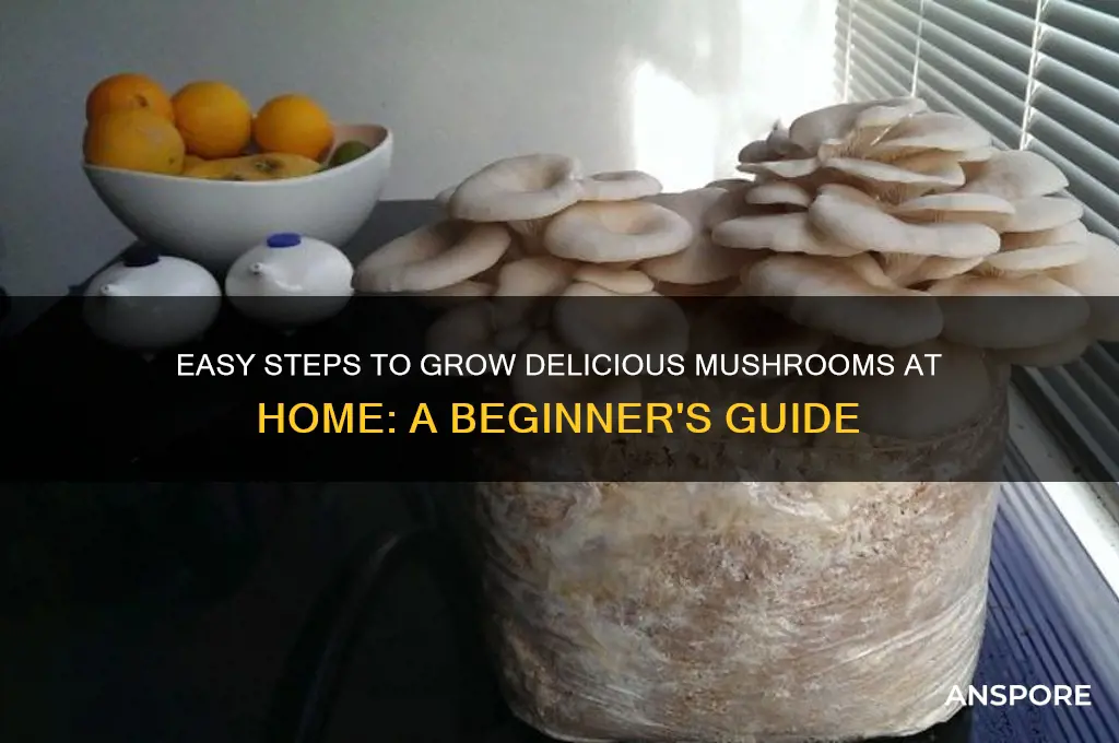how to make mushroom at home