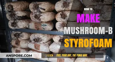 Eco-Friendly Innovation: Crafting Biodegradable Styrofoam with Mushrooms