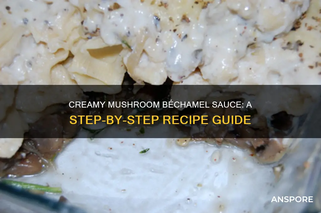 how to make mushroom bechamel sauce