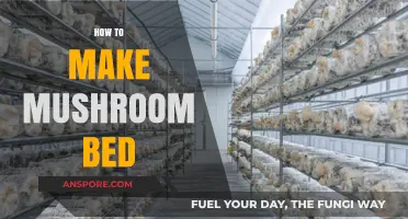 Creating a Thriving Mushroom Bed: Simple Steps for Success