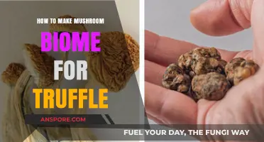 Crafting the Perfect Mushroom Biome for Growing Gourmet Truffles