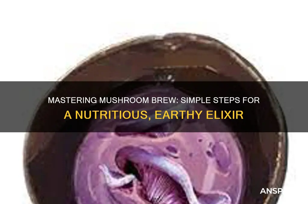 how to make mushroom brew