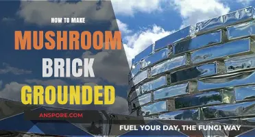 Mastering Mushroom Brick Grounding: A Step-by-Step Guide for Beginners