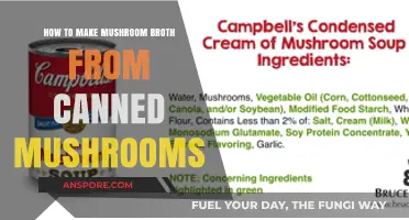 Easy Mushroom Broth Recipe Using Canned Mushrooms for Quick Meals